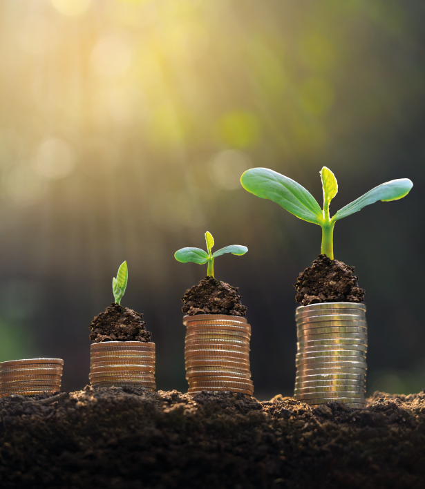 Investimenti Aziende Banca Reale
