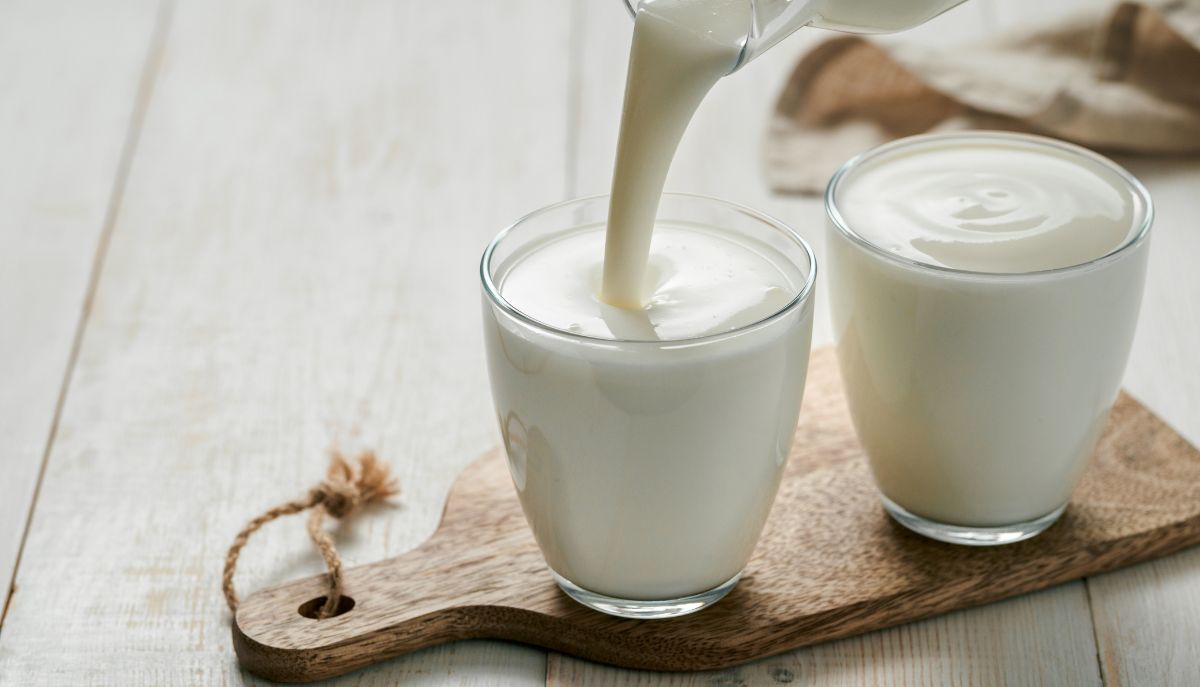Gli alimenti fermentati: scopriamoli insieme