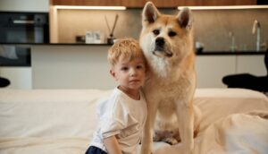 Assicurazione animali domestici: come funziona