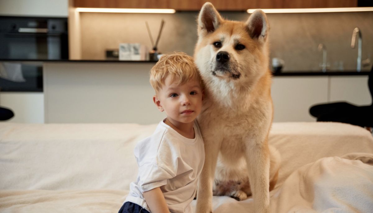 Assicurazione animali domestici: come funziona